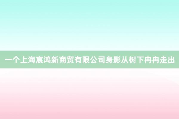 一个上海宸鸿新商贸有限公司身影从树下冉冉走出